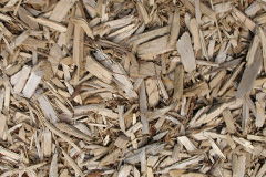biomass boilers Forest Holme