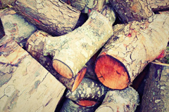 Forest Holme wood burning boiler costs
